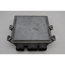 Centralina ECU Peugeot 1007 dal 2005 al 2010 Cod 5WS40175C-T  2411111185322