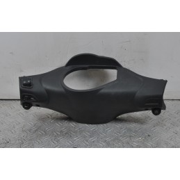 Carena Portastrumentazione Piaggio NRG 50 2t Dal 2017 al 2020  1655804552997
