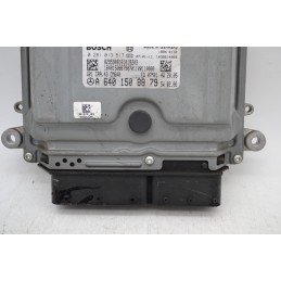 Centralina ECU Mercedes Classe A W169 Dal 2004 al 2012 Cod A6401508879  1656342207684