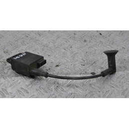 Bobina Accensione Piaggio Liberty 50 2t dal 2004 al 2016  1657536346172