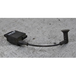 Bobina Accensione Piaggio Liberty 50 2t dal 2004 al 2016  1657536346172