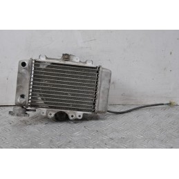 Radiatore + Elettroventola Honda Sh 150 Dal 2005 al 2012  1658416654257