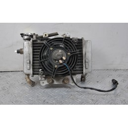 Radiatore + Elettroventola Benelli Caffènero 125 / 150 dal 2011 al 2016  1662028654925