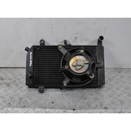 Radiatore + Elettroventola Honda Silver Wing 400 / 600 dal 2001 al 2009  1663573506936