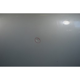 Cofano anteriore Ford Focus Dal 2001 al 2005  1664973203463