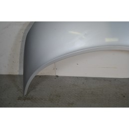 Cofano anteriore Renault Scenic II Dal 2003 al 2009 Grigio  1666596329957