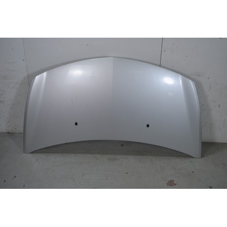 Cofano Anteriore Renault Clio III dal 2005 al 2013  1667900005635