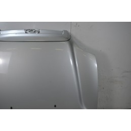 Cofano anteriore Hyundai Santa Fe Dal 2000 al 2006  1668671411304