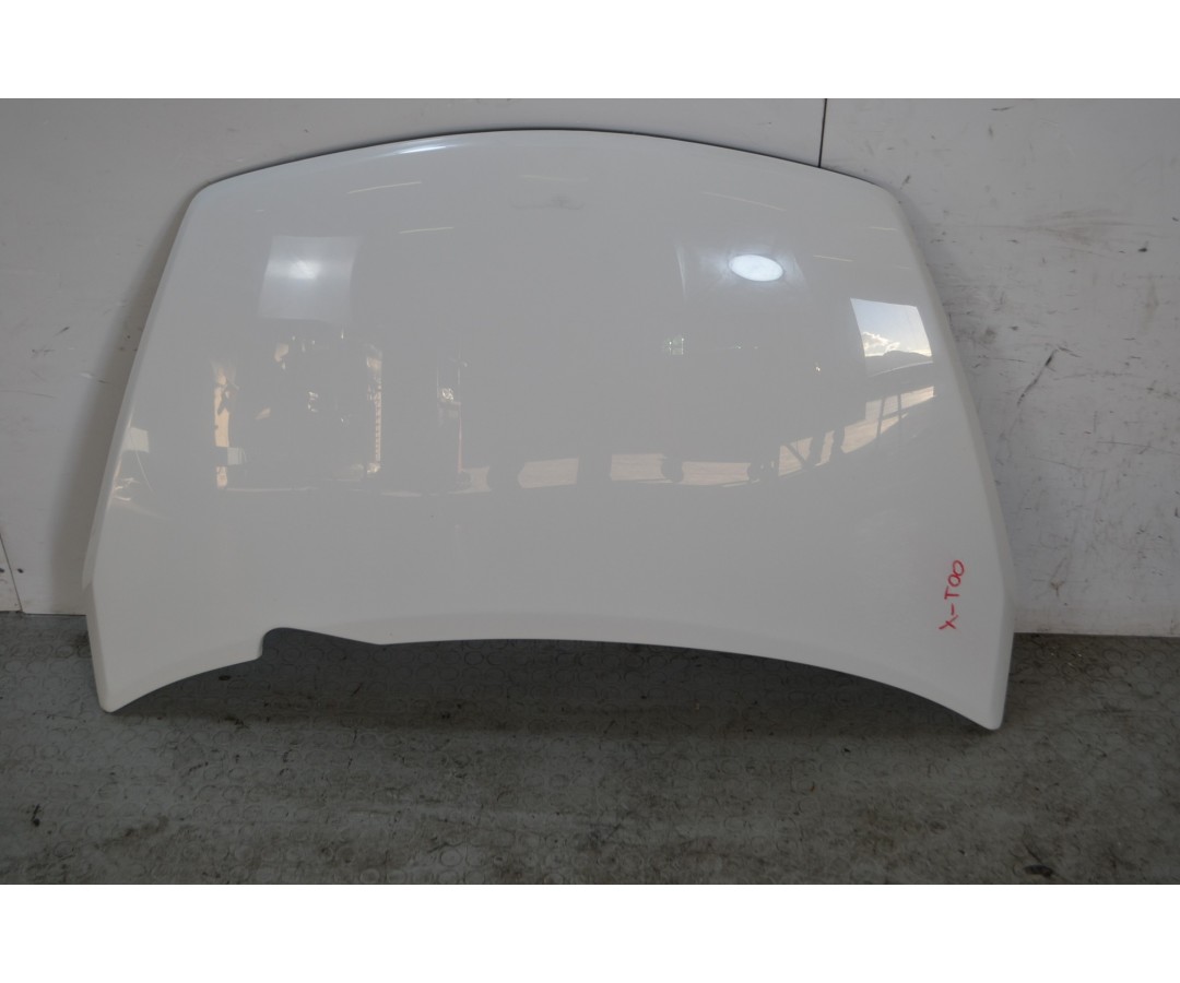 Cofano anteriore Ligier X-Too Dal 2004 al 2011 Colore bianco  1669282882675