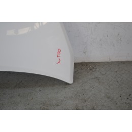 Cofano anteriore Ligier X-Too Dal 2004 al 2011 Colore bianco  1669282882675