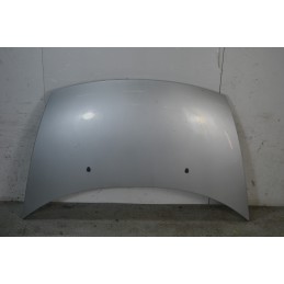 Cofano anteriore Citroen C3 Dal 2002 al 2009 Grigio  1669816527898