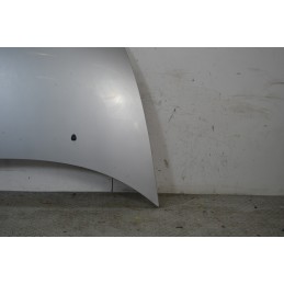 Cofano anteriore Citroen C3 Dal 2002 al 2009 Grigio  1669816527898