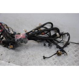 Cablaggio Impianto Elettrico Aprilia Scarabeo Light 200 Carb dal 2007 al 2013  1669817828901