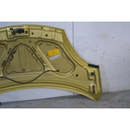 Cofano anteriore DR1 Dal 2009 al 2013 Giallo oro  1669823671867