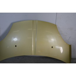 Cofano anteriore DR1 Dal 2009 al 2013 Giallo oro  1669823671867