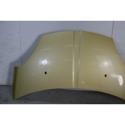 Cofano anteriore DR1 Dal 2009 al 2013 Giallo oro  1669823671867