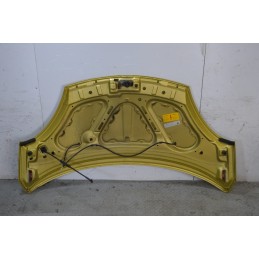 Cofano anteriore DR1 Dal 2009 al 2013 Giallo oro  1669823671867