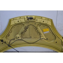 Cofano anteriore DR1 Dal 2009 al 2013 Giallo oro  1669823671867