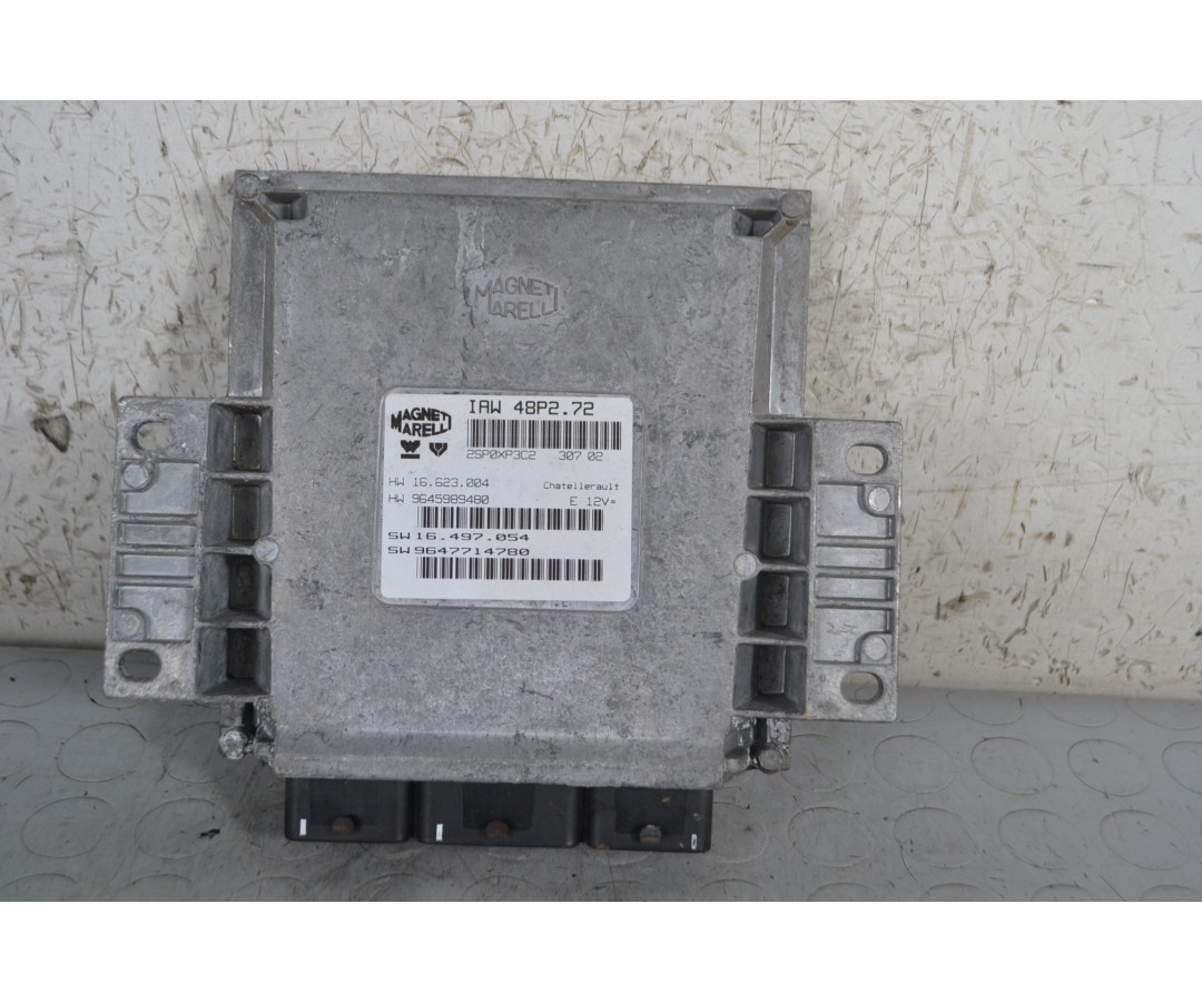 Centralina ECU Peugeot 206 Dal 2003 al 2012 Cod 9645989480  1670339050343