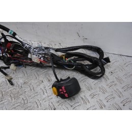 Cablaggio Impianto Elettrico Aprilia Scarabeo 50 4T Dal 2009 al 2017  1670932207519