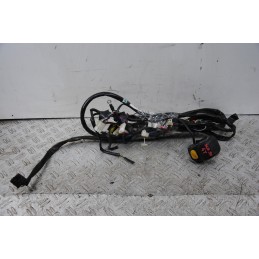 Cablaggio Impianto Elettrico Aprilia Scarabeo 50 4T Dal 2009 al 2017  1670932207519