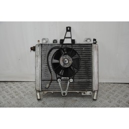 Radiatore + Elettroventola Piaggio Beverly 250 dal 2001 al 2010  1671179139793