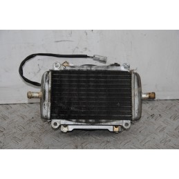 Radiatore + Elettroventola Piaggio Vespa GTS 250 Dal 2005 al 2012  1671551672542