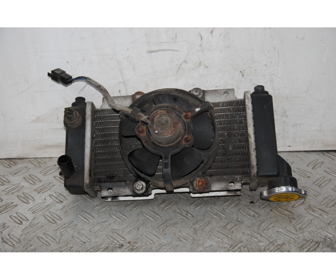 Radiatore + Elettroventola Peugeot LXR 200 dal 2009 al 2014  1672933634813