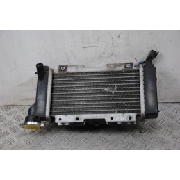 Radiatore + Elettroventola Peugeot LXR 200 dal 2009 al 2014  1672933634813