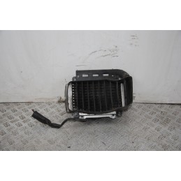 Radiatore Completo Piaggio Vespa GT 200 L Dal 2003 al 2006  1673857682324