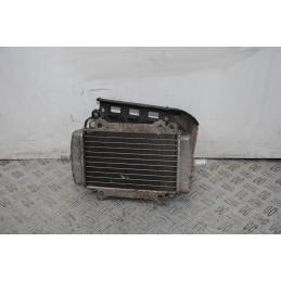 Radiatore Piaggio Vespa GT 200 L Dal 2003 al 2006  1673858323882