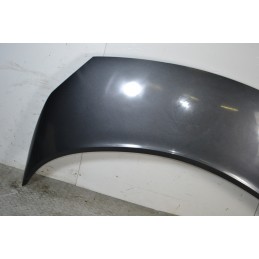 Cofano anteriore Renault Scenic II Dal 2003 al 2009 Grigio antracite  1673953603377