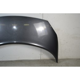 Cofano anteriore Renault Scenic II Dal 2003 al 2009 Grigio antracite  1673953603377