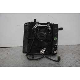 Radiatore + Elettroventola Honda Foresight 250 dal 1998 al 2004  1674813237749