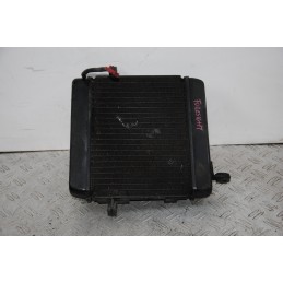 Radiatore + Elettroventola Honda Foresight 250 dal 1998 al 2004  1674813237749