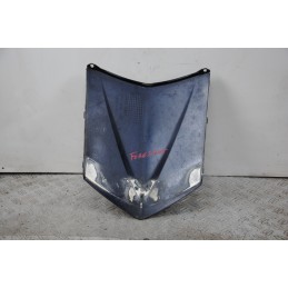 Carena Scudetto Anteriore Honda Foresight 250 dal 1998 al 2004  1674833586049