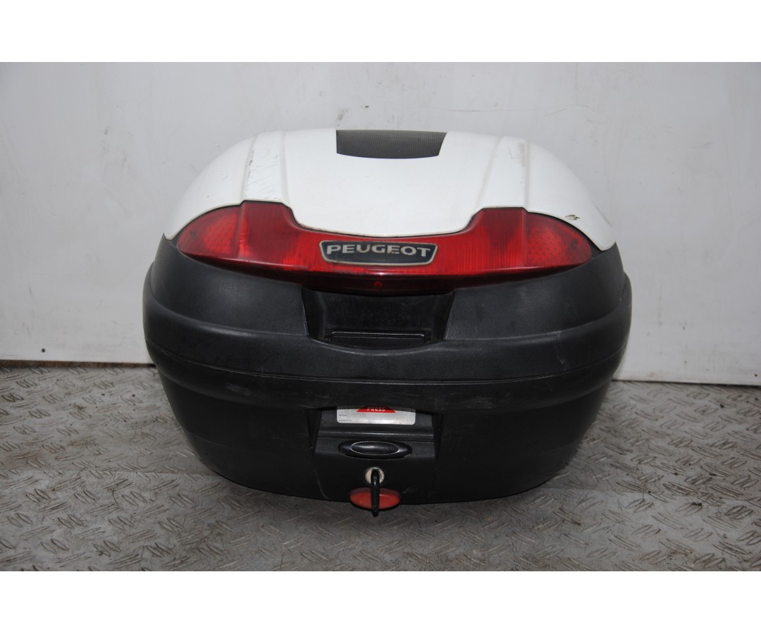 Bauletto Peugeot Geopolis 125 / 250 dal 2005 al 2012  1675155389653