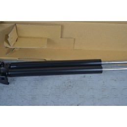 Pistoni portellone bagagliaio posteriore Citroen C4 Aircross Dal 2012 al 2017 Cod 1624230780  1676539272417