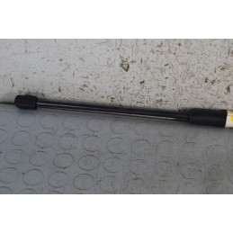 Pistone Portellone Bagagliaio Posteriore Citroen C4 Grand Picasso dal 2006 in poi Cod 9654438680  1676995096794