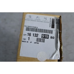 Freccia Direzionale Specchietto SX Citroen C4 Aircross dal 2012 al 2017 Cod 16 132 919 80  1677055238239