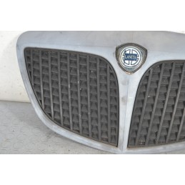 Griglia anteriore Lancia Ypsilon Dal 2003 al 2012 Cod 735349457  1678115189126