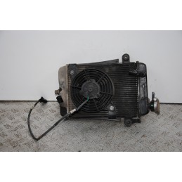 Radiatore + Elettroventola Honda Sh 300 Dal 2006 al 2010  1678807081592