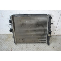 Radiatore Acqua Peugeot 206 dal 1998 al 2003 Cod 862534e  1679484188888