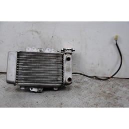 Radiatore + Elettroventola Honda SH 125 / 150 Dal 2005 al 2008  1679995708919