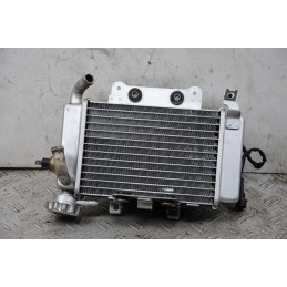 Radiatore + Elettroventola Benelli Caffènero 125 / 150 dal 2011 al 2016  1680012331898