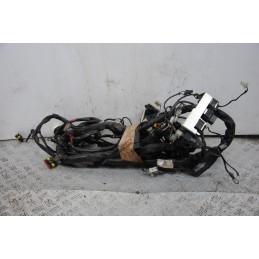 Cablaggio impianto elettrico Aprilia Scarabeo 400 Dal 2006 al 2011  1680708310107