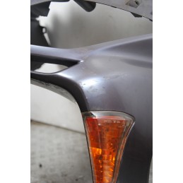 Carena Scudo Anteriore Honda Forza 250 Dal 2005 al 2007  1681296339099