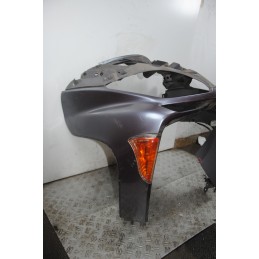 Carena Scudo Anteriore Honda Forza 250 Dal 2005 al 2007  1681296339099