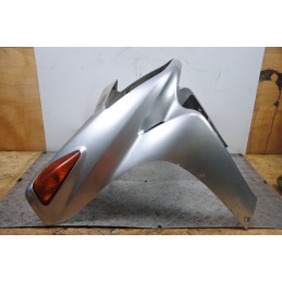 Carena Scudo Anteriore Honda Foresight 250 dal 1998 al 2004  1686214053101