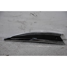 Carena Paracolpi SX Piaggio Liberty 50 dal 1997 al 2005  1686736084249